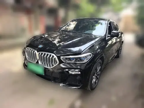 BMW X6, 2021