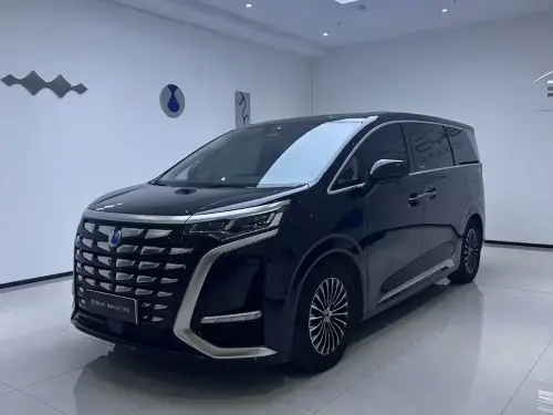 Denza D9, 2024