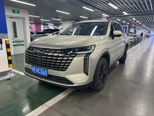 Haval H6, 2024