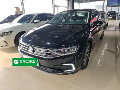 Volkswagen Magotan, 2024