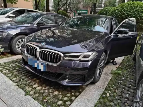 BMW 5-Series, 2021