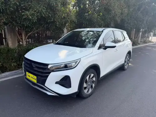 GAC GS4, 2020
