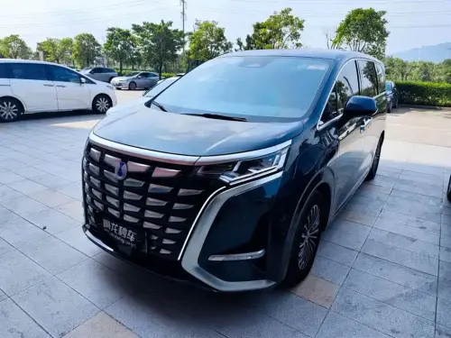 Denza D9, 2024