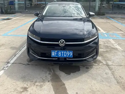 Volkswagen Magotan, 2024