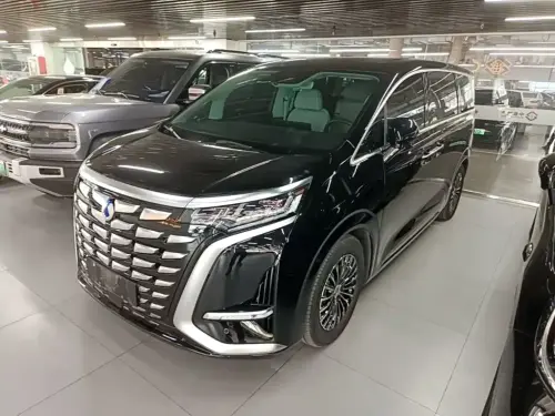 Denza D9, 2024