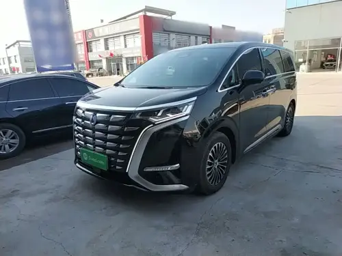 Denza D9, 2025
