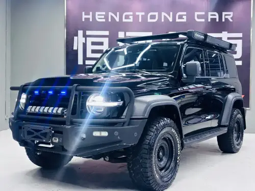 Tank 300, 2022