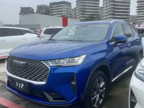 Haval H6, 2021