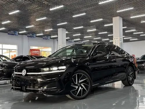 Volkswagen Magotan, 2024