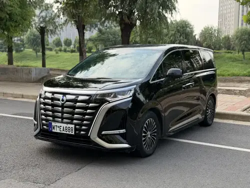 Denza D9, 2024