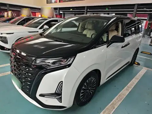 Denza D9, 2024