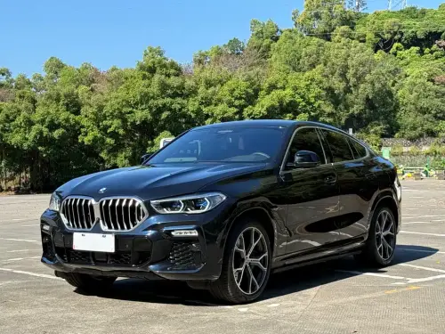 BMW X6, 2020