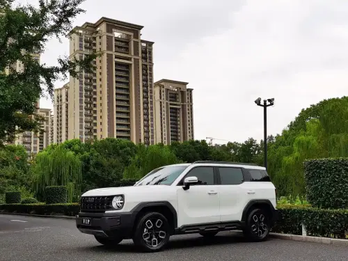 Haval Cool Dog, 2023