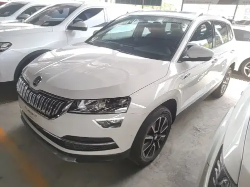 Skoda Karoq, 2021