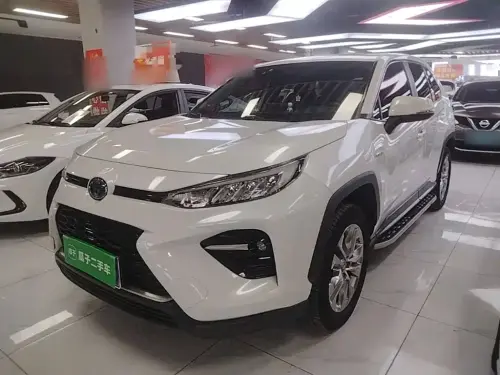 Toyota Wildlander, 2020