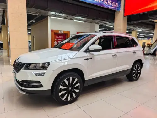 Skoda Karoq, 2021
