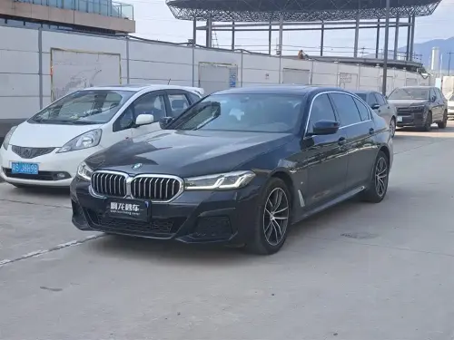 BMW 5-Series, 2021