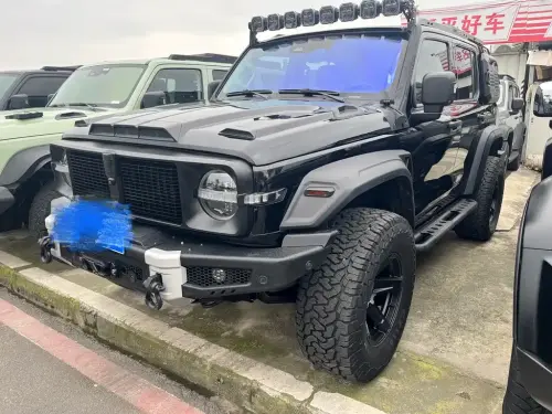 Tank 300, 2021