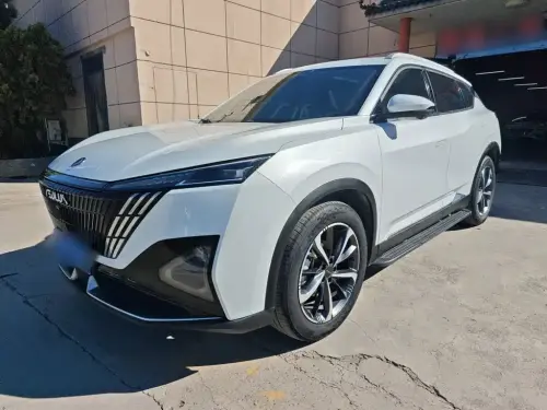 Dongfeng Haohan, 2024