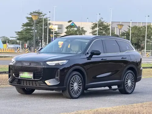 Chery Fulwin T9, 2024