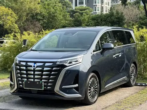 Denza D9, 2024