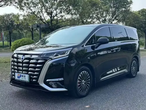Denza D9, 2024