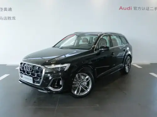 Audi Q7, 2025