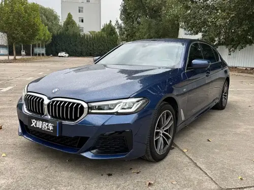 BMW 5-Series, 2020