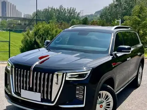 Hongqi Guoyao, 2025