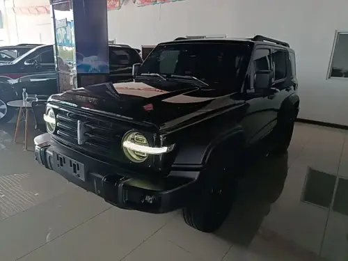Tank 300, 2021