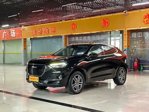 Haval F5, 2020