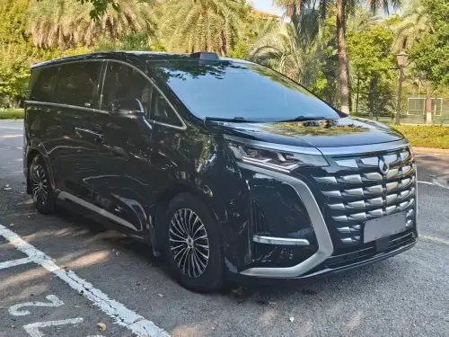 Denza D9, 2025
