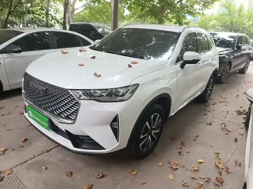 Haval H6, 2021