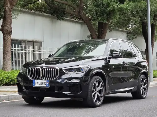 BMW X5, 2021