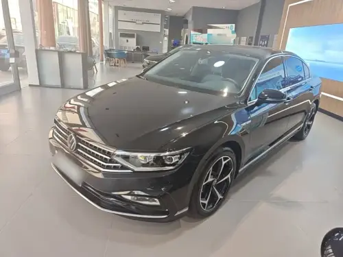 Volkswagen Magotan, 2024