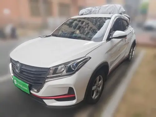 Dongfeng Fengguang 500, 2021