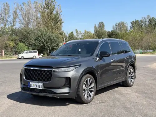 Li Auto ONE, 2021