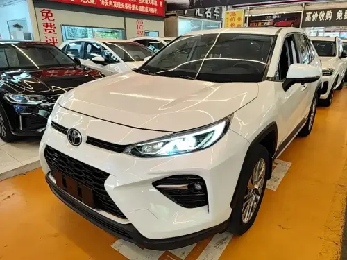 Toyota Wildlander, 2020