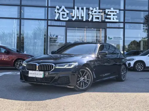 BMW 5-Series, 2020