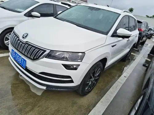Skoda Karoq, 2020
