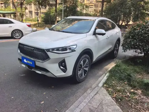 Haval F7x, 2021