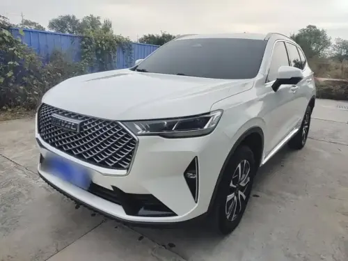Haval H6, 2021