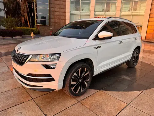 Skoda Karoq, 2024