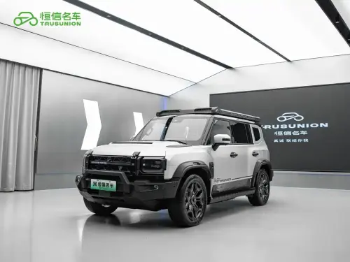 Jetour Traveler, 2024