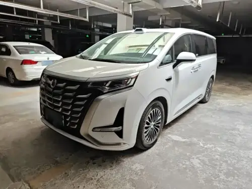 Denza D9, 2025