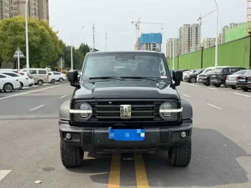 Tank 300, 2021