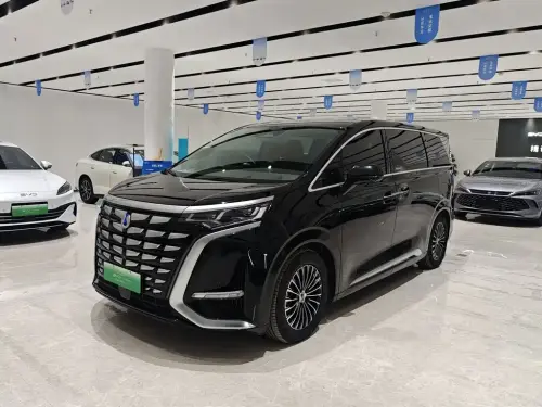 Denza D9, 2024