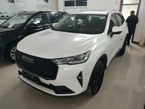 Haval H6, 2021
