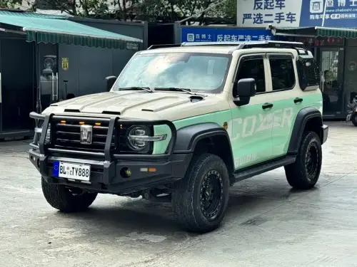 Tank 300, 2021