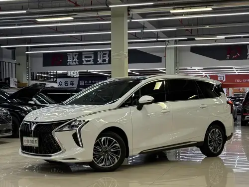 Dongfeng Youth, 2024